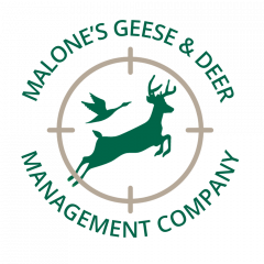 Malone's Geese & Deer Management Company